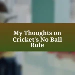 My Thoughts on Cricket’s No Ball Rule