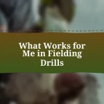 What Works for Me in Fielding Drills